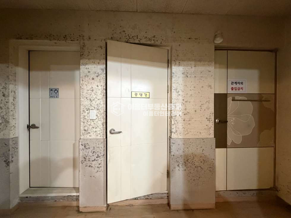 서울 마포구 노고산동 음악관련, 춤관련업종 가능 방음시설돼있답니다 네모반듯 위치굿 월세 매물번호 11000 사진 11
