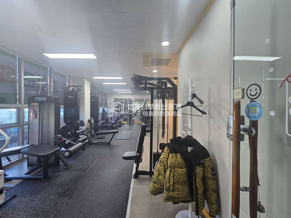 서울 마포구 신수동 채광탁월 경의선숲길 인접 월세 매물번호 11032 사진 3