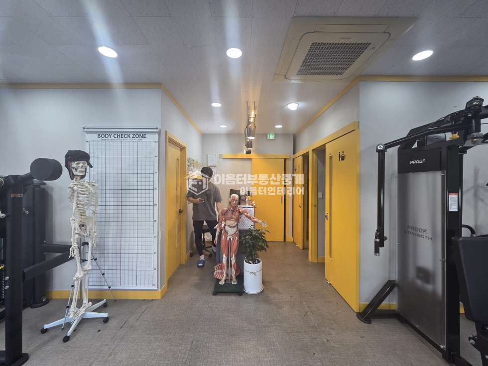 서울 마포구 신수동 채광탁월 경의선숲길 인접 월세 매물번호 11032 사진 5