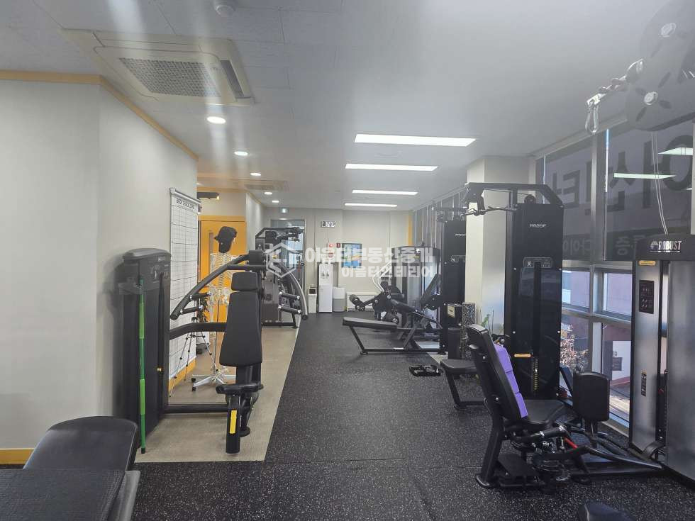 서울 마포구 신수동 채광탁월 경의선숲길 인접 월세 매물번호 11032 사진 8