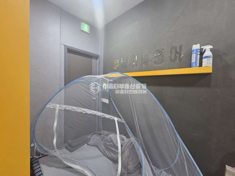 서울 마포구 신수동 채광탁월 경의선숲길 인접 월세 매물번호 11032 사진 11